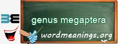 WordMeaning blackboard for genus megaptera